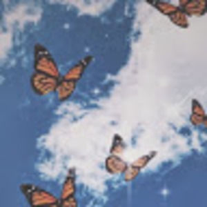 Meet your Posher, Mia